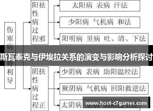 斯瓦泰克与伊埃拉关系的演变与影响分析探讨