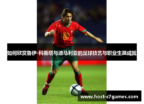 如何欣赏鲁伊-科斯塔与迪马利亚的足球技艺与职业生涯成就