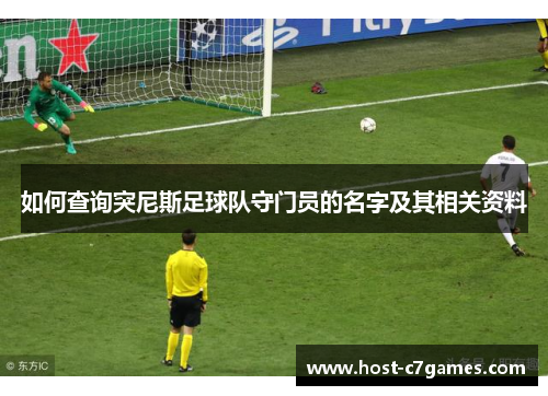 如何查询突尼斯足球队守门员的名字及其相关资料