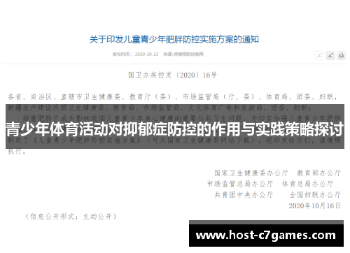 青少年体育活动对抑郁症防控的作用与实践策略探讨