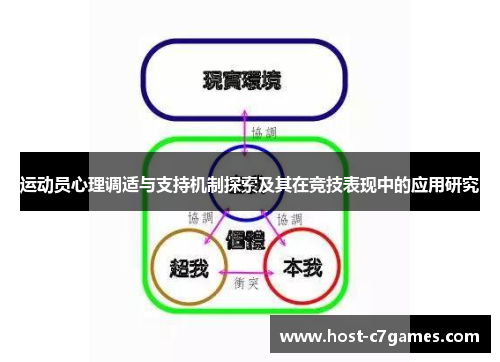 运动员心理调适与支持机制探索及其在竞技表现中的应用研究