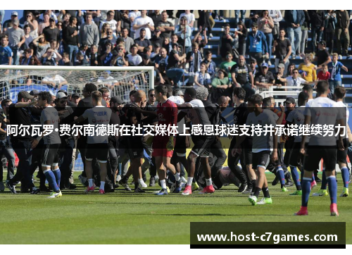 阿尔瓦罗·费尔南德斯在社交媒体上感恩球迷支持并承诺继续努力